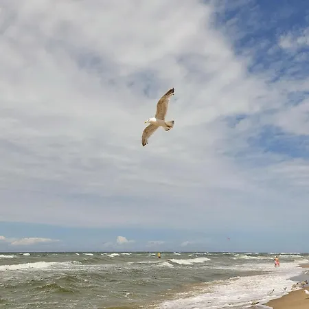 2 Bedroom Stunning In Kolczewo