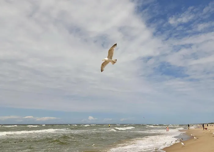 2 Bedroom Stunning In Kołczewo