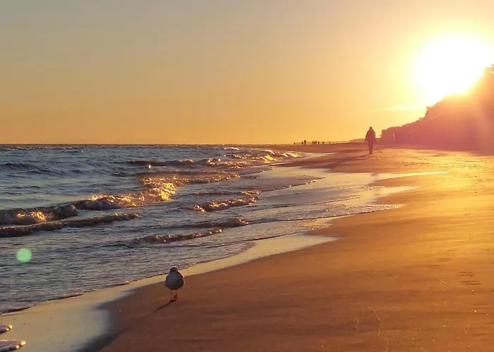 Casa de Férias 2 Bedroom Stunning In